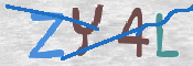 キャプチャ画像