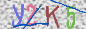 キャプチャ画像