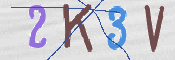 キャプチャ画像
